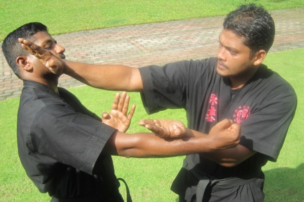 img-1472-800x6003C68463F-67E6-3F18-D3EA-3BE11A31B7C4.jpg