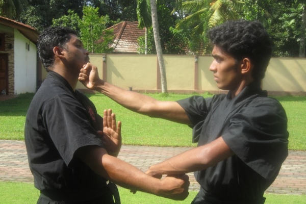 img-1502-800x6002A7C34C7-F121-07C4-4CD6-6DE420C1155B.jpg