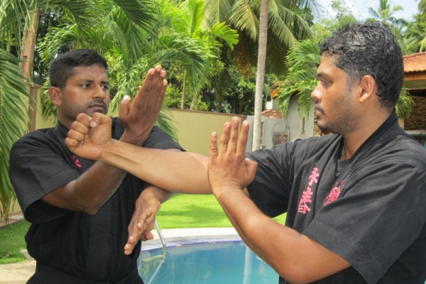 img-1679-800x6001D44C2D2-1B1A-8B9C-8087-DFB20B9FF3D1.jpg