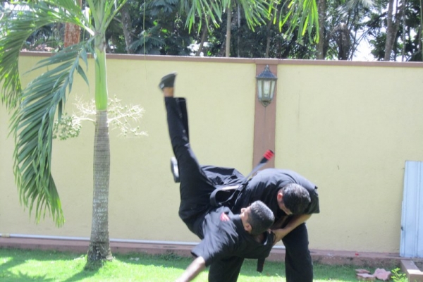 img-1802-800x600DED1534C-CAF6-F2A3-69B5-CC8DC80FB2BE.jpg